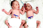 infertility centres in warangal