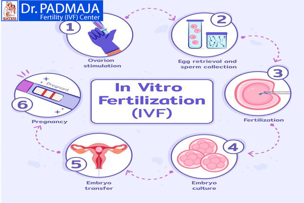 ivf-success-rate-archives