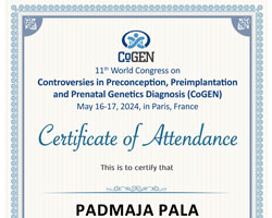 Certificate of Attendance