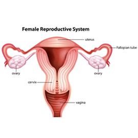 infertility centres in tirupati