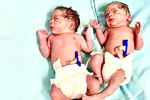 Ivf Treatment In 
            Amaravathi