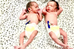 surrogacy results 
    Hyderabad