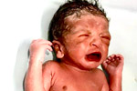 Top ivf in AP