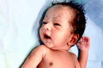 ivf centers in 
    hyderabad