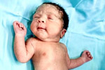 ivf surrogacy 
    Hyderabad