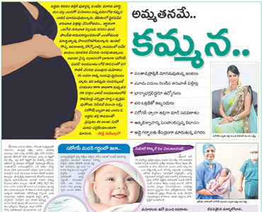 ivf in ap