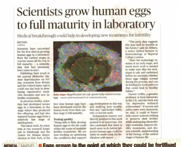 Ivf Treatment In kurnool